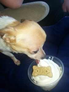 Oscar loved his Ice cream