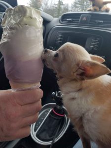 Loving daddies ice cream